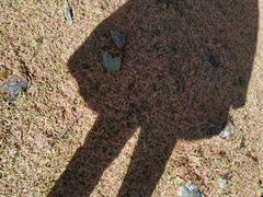 -硗碛藏寨·神木垒景区