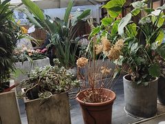 -小喜客·云南特色菜(纳西庭院店)