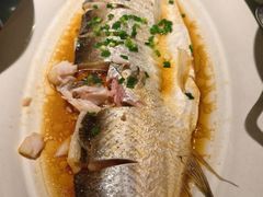 -松沪名灶·新上海菜(飞航吾悦广场店)