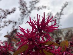 -太平洋咖啡(长沙中建广场店)