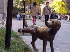 -中粮·祥云小镇