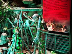 -游龙石文化科普馆