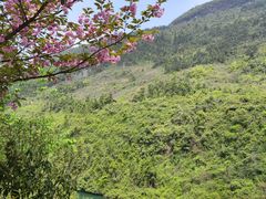 -狮子关旅游区