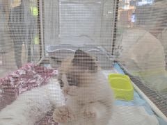-万达广场(北京槐房店)