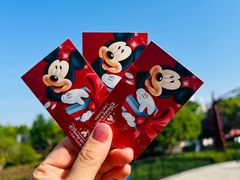 -上海迪士尼度假区