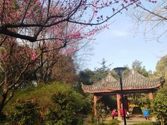-温江公园