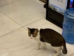 -谜盒子奇幻密室(南屏店)