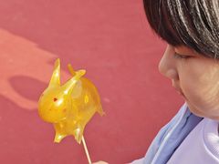 -北京凤凰岭