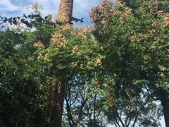 -杭州城北体育公园