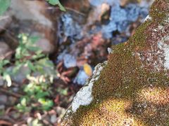 -碓臼峪自然风景区