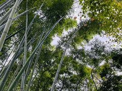 -汇龙潭