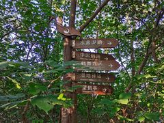 -盐城丹顶鹤湿地生态旅游区