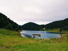 -武陵山森林公园