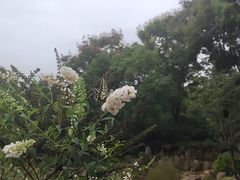 -无锡动物园·太湖欢乐园