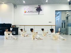 -星光舞蹈艺术中心•芭蕾舞•中国舞(太阳宫校区)
