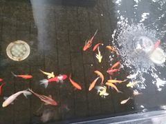 -天津波士信达奔驰4S店(卫津南路店)