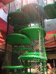 -恐龙探索乐园(磁器口店)