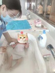 -禧月荟S月子中心(侨城店)