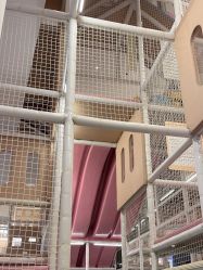 点击看大图 -超级奈尔宝SUPER NEOBIO(杭州星光店)