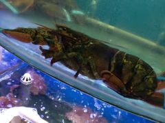 -蔚海之都·象山蒸汽海鲜(仙霞路店)
