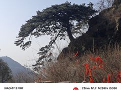 -泰山风景名胜区