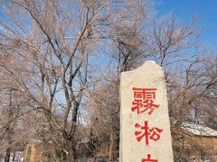-雾凇岛