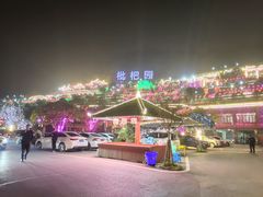 -枇杷园食为鲜火锅(南山店)