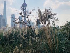 -上海港国际客运中心