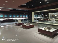 -青岛贝壳博物馆