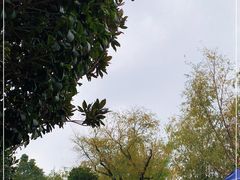 -月牙潭公园