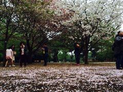 iphone_upload_pic-三鹰之森吉卜力美术馆