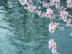 -皇家御河游(紫御湾码头)