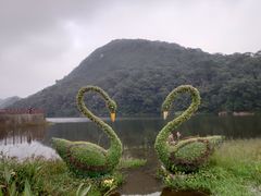 -广州市石门国家森林公园
