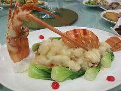 -万源龙顺度假庄园生态观光园