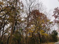 -大蜀山国家森林公园