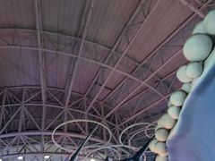 -烟台海昌鲸鲨海洋公园