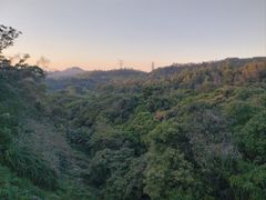 -深圳仙湖植物园