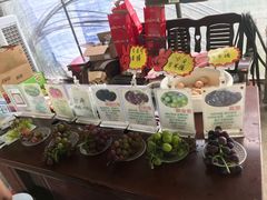 -马陆小张葡萄园农家乐