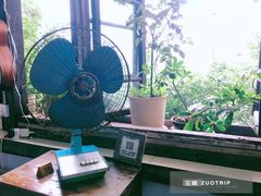 -懒鱼时光馆(沙坪坝店)
