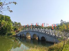 -金山植物公园