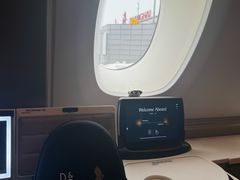 -新加坡航空公司(ION)