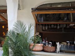 -Sirena海妖日咖夜酒