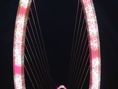-南京眼步行桥