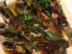 鼓汁蒸黄骨鱼-香宫中餐厅 · 桂林香格里拉