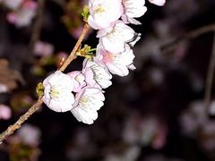 -静安雕塑公园