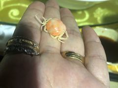 -胖大嫂渔家排档·全海景餐厅(渔村店)