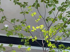 -栖·咖啡