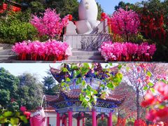 -东莞观音山旅游风景区