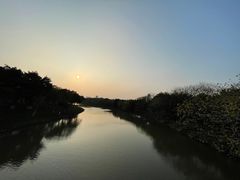 -海珠湖公园