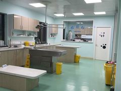 -北京观赏动物医院·24小时大型综合·猫专科·异宠专科